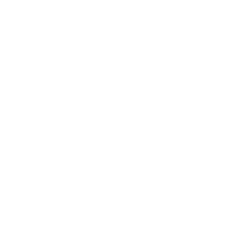 25 years of experience