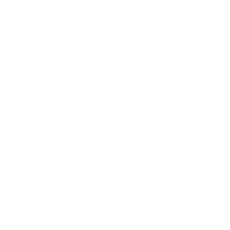 25 years of experience