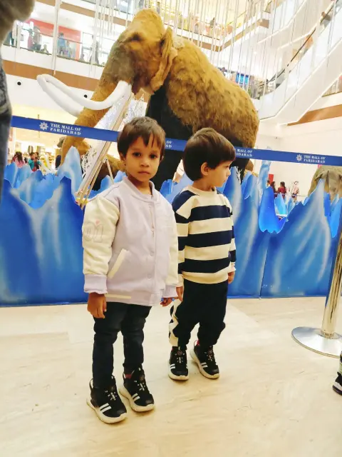 IVF success – healthy twin boys