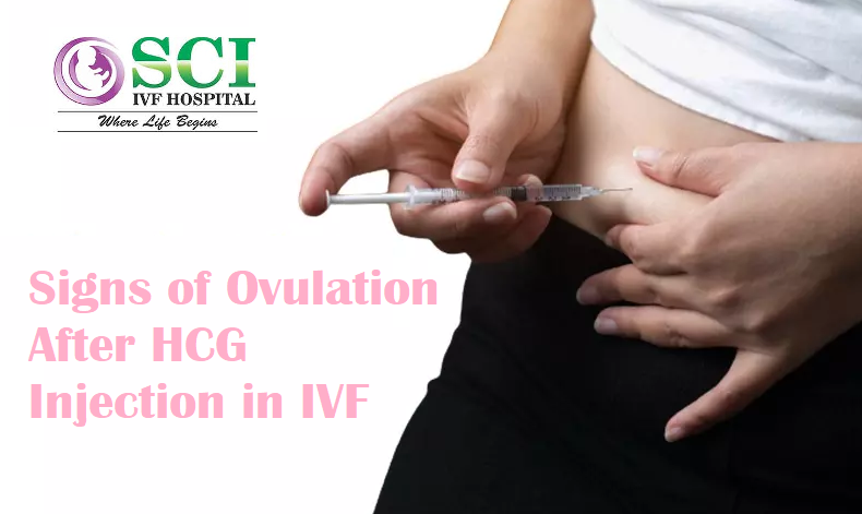 Understanding the Signs of Ovulation After HCG Injection in IVF