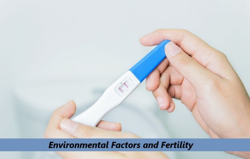 Environmental Factors and Fertility