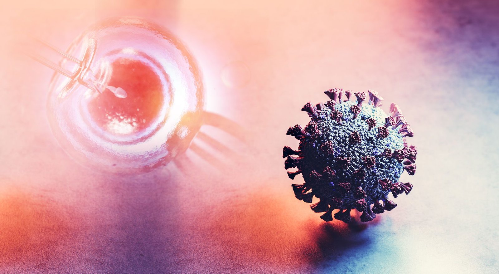 Is it safe to do IVF treatment after recovery from covid19 infection?