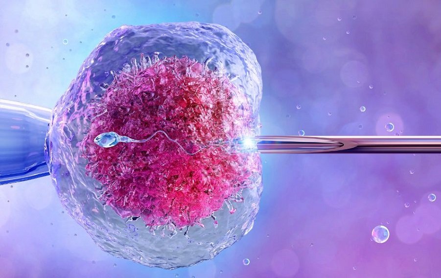 What is the success rate of IVF?