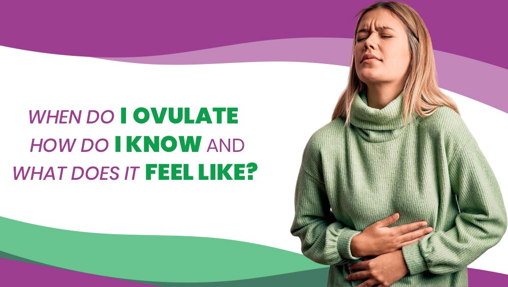 When Do I Ovulate, How Do I Know, and What Does It Feel Like?
