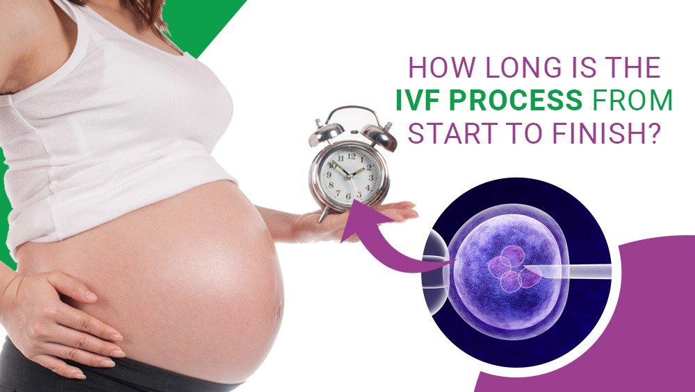 IVF Timeline: How Long Is the IVF Process from Start to Finish?