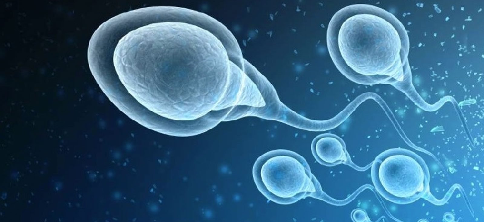 Male Infertility Treatment Centre in Delhi & Noida