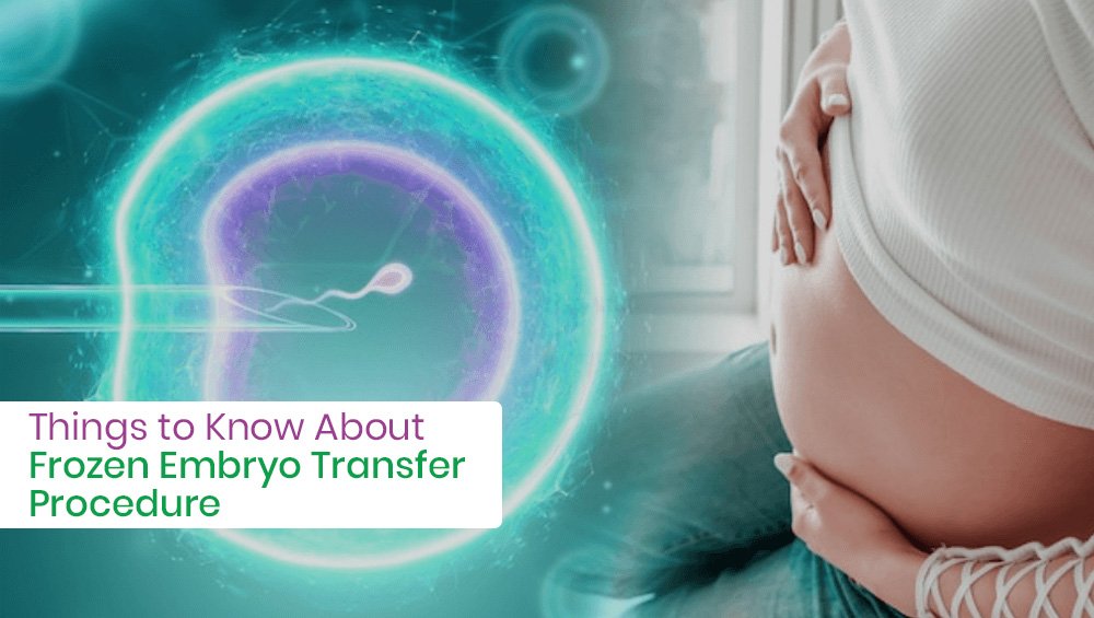 Things to Know About Frozen Embryo Transfer Procedure