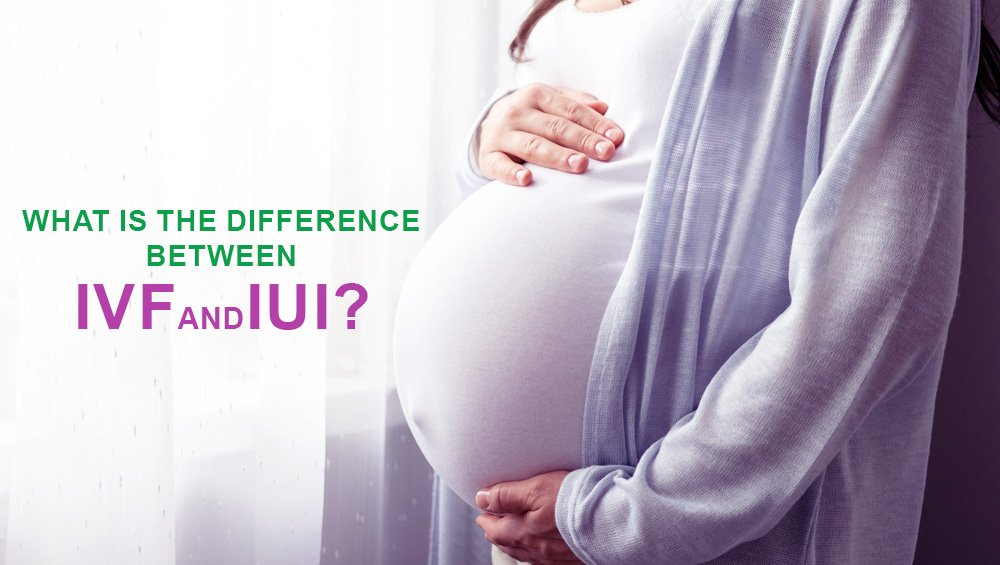 What is the difference between IVF and IUI