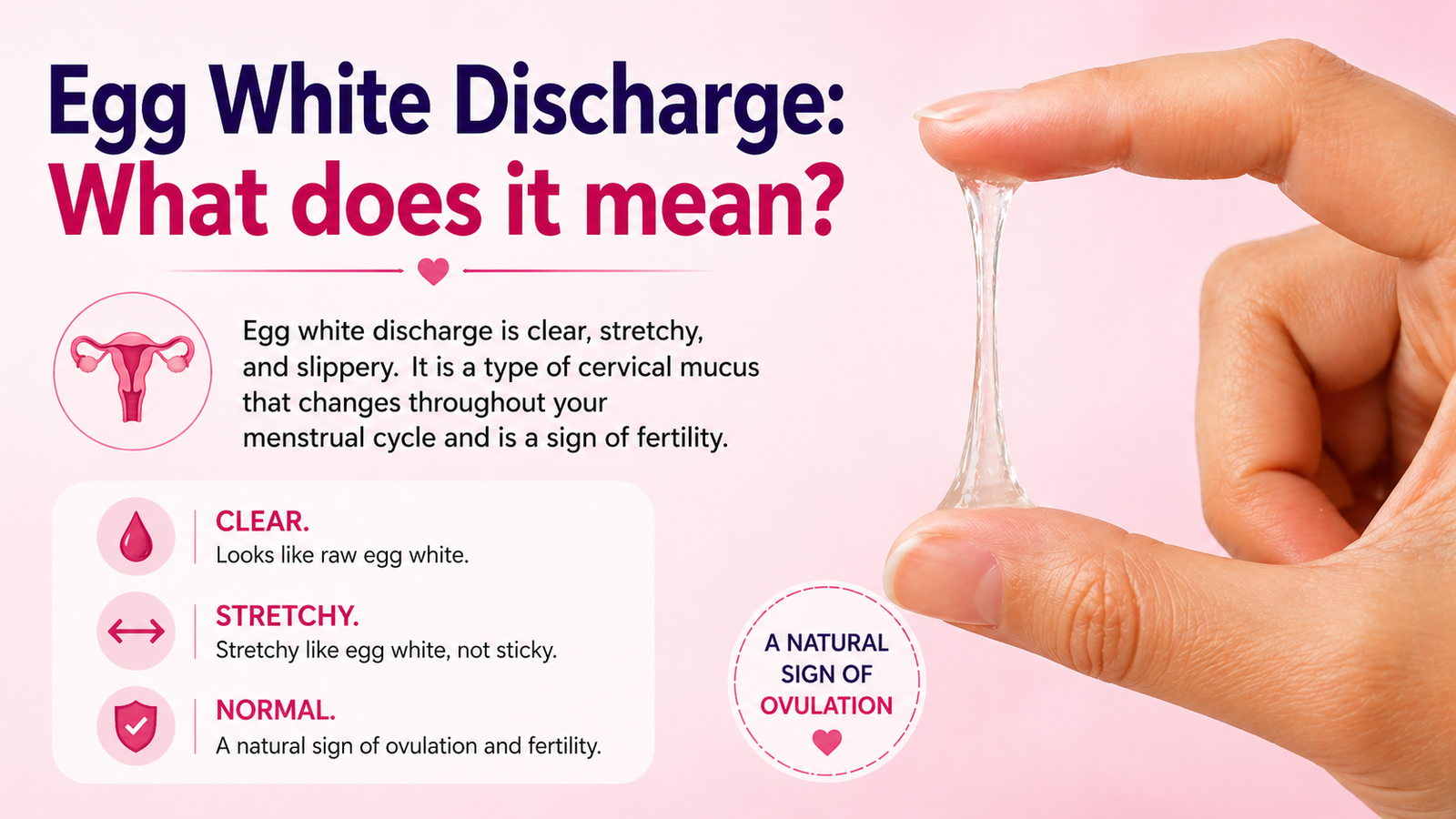 Egg White Discharge: What Does It Mean?