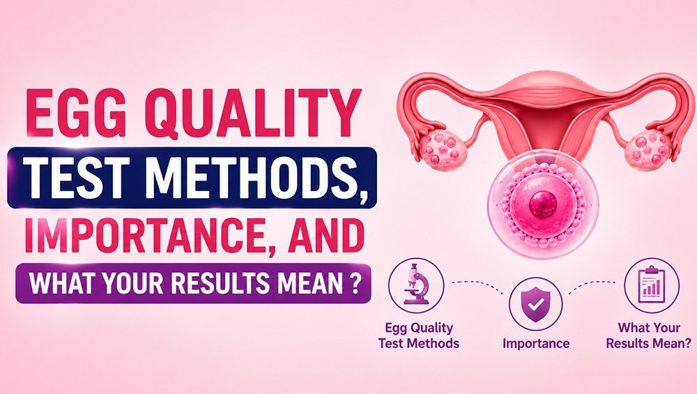 Egg Quality Test: Methods, Importance & What Your Results Mean