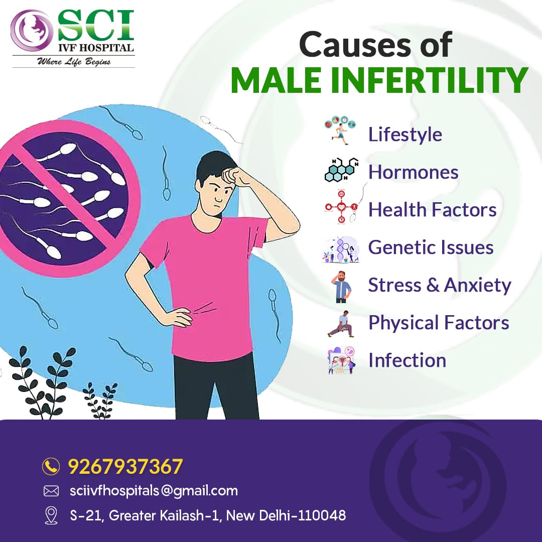 Lifestyle, Health, and Genetics: What Causes Male Infertility?