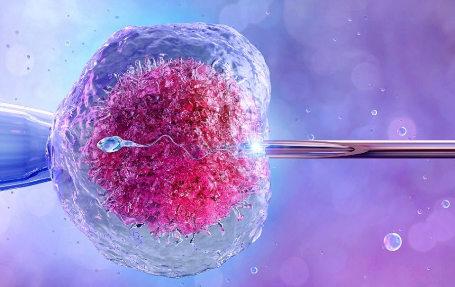 What is the success rate of IVF?