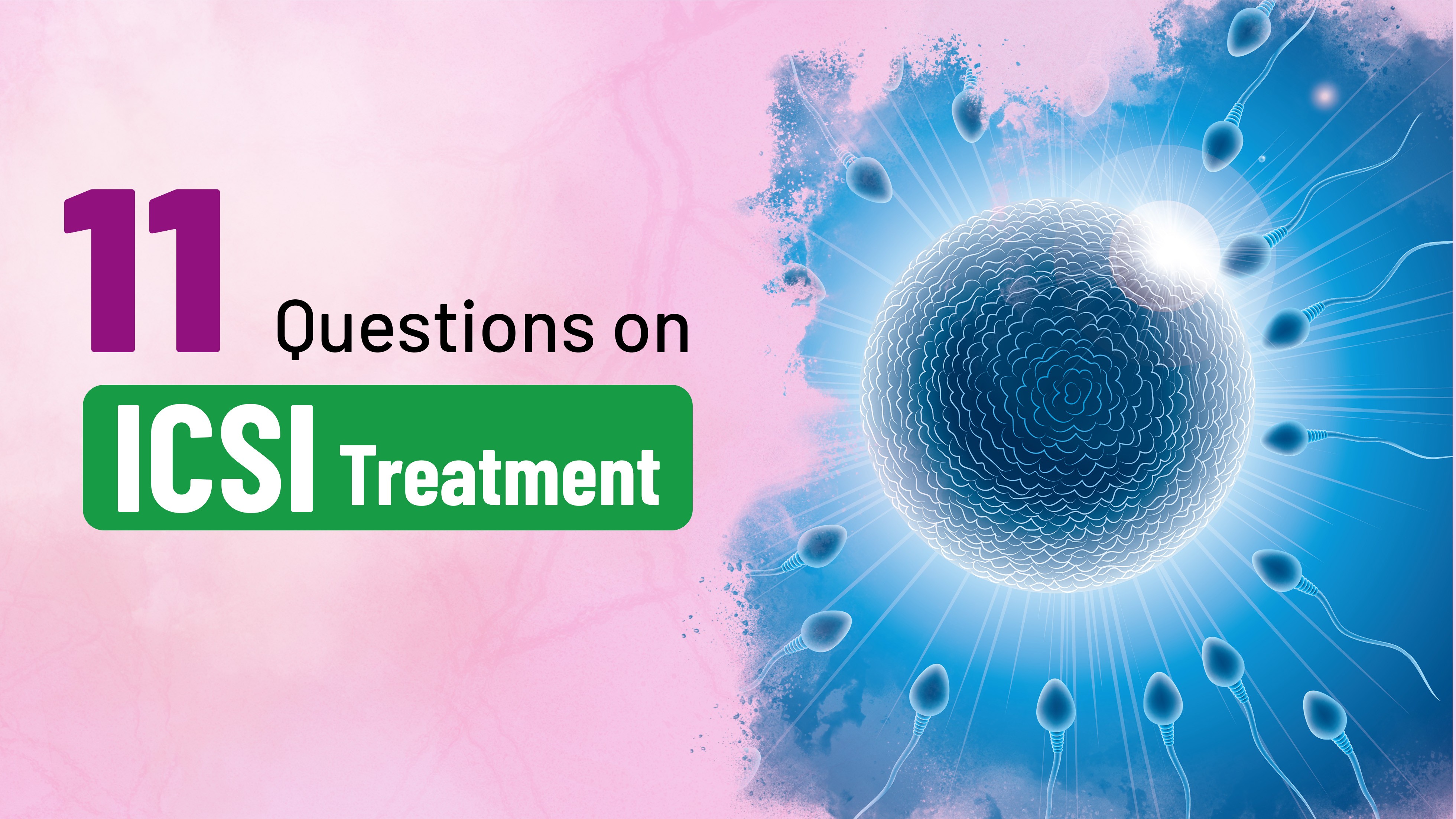 11 Questions On ICSI Treatment