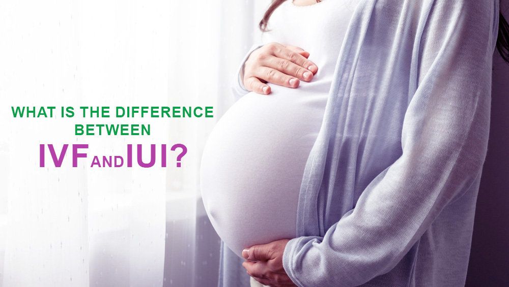 What is the difference between IVF and IUI