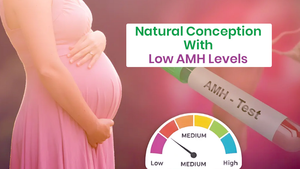 Natural Conception With Low AMH Levels