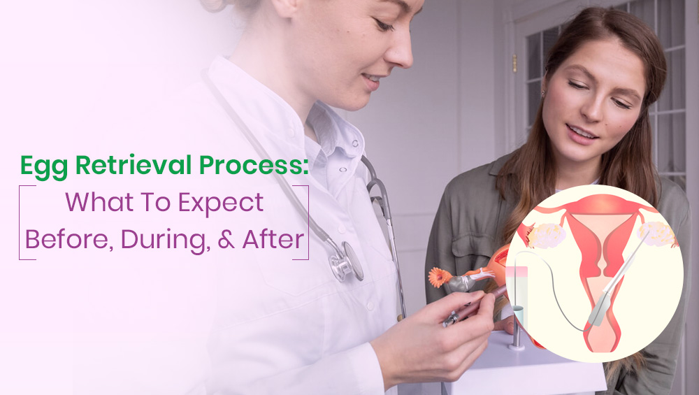 Egg Retrieval Process: What To Expect Before, During & After