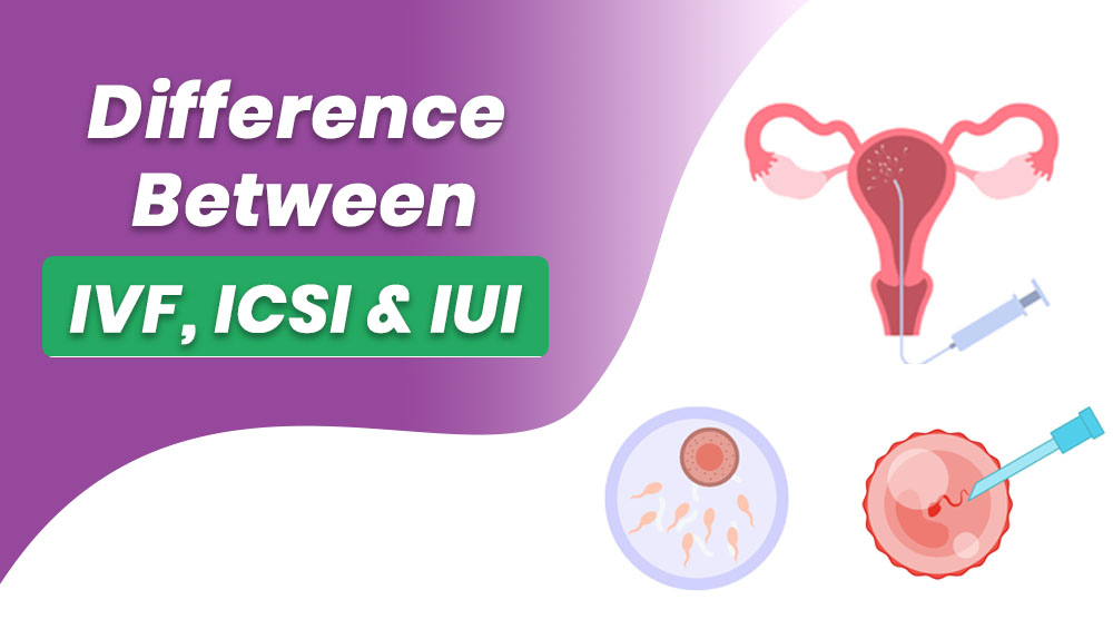 Difference Between IVF, ICSI & IUI