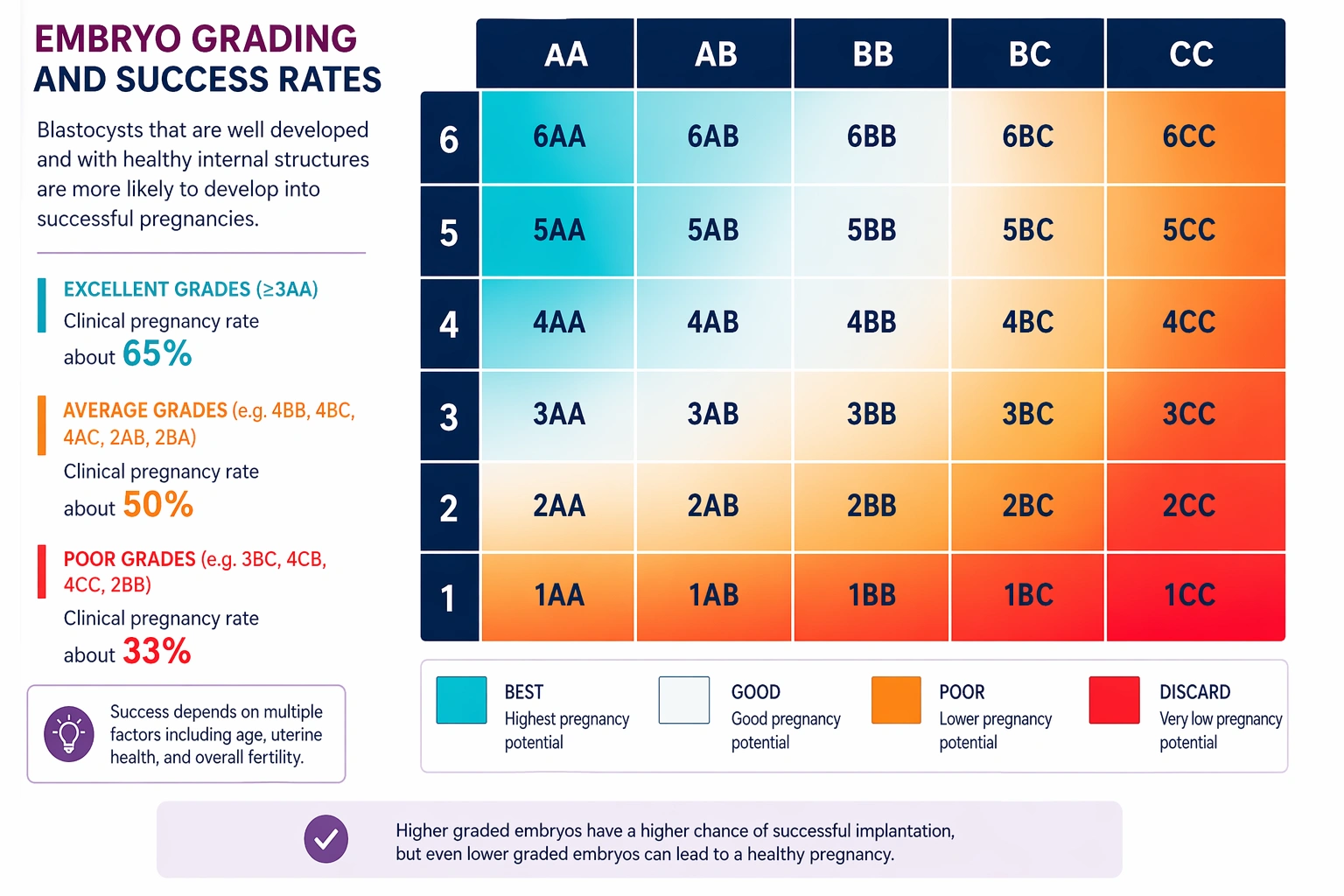 embryo grading and success rate