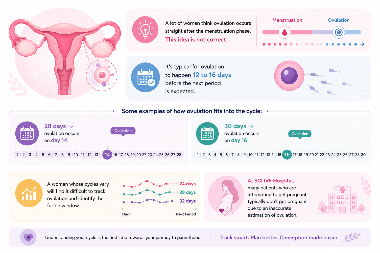 When Does Ovulation Occur After Periods