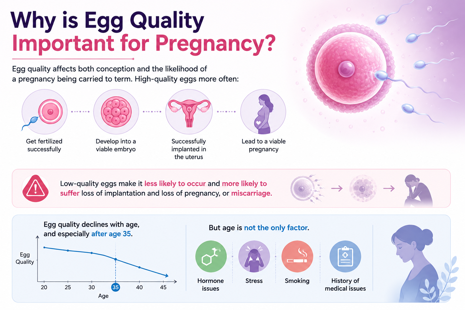 Why is Egg Quality Important for Pregnancy?