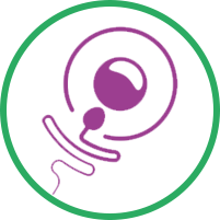 IVF Treatment 