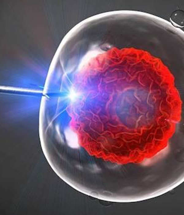 Laser-Assisted Hatching Process Step By Step