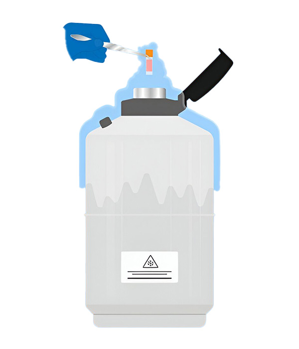 Do Frozen Embryo Transfer (FET) have any Risks?