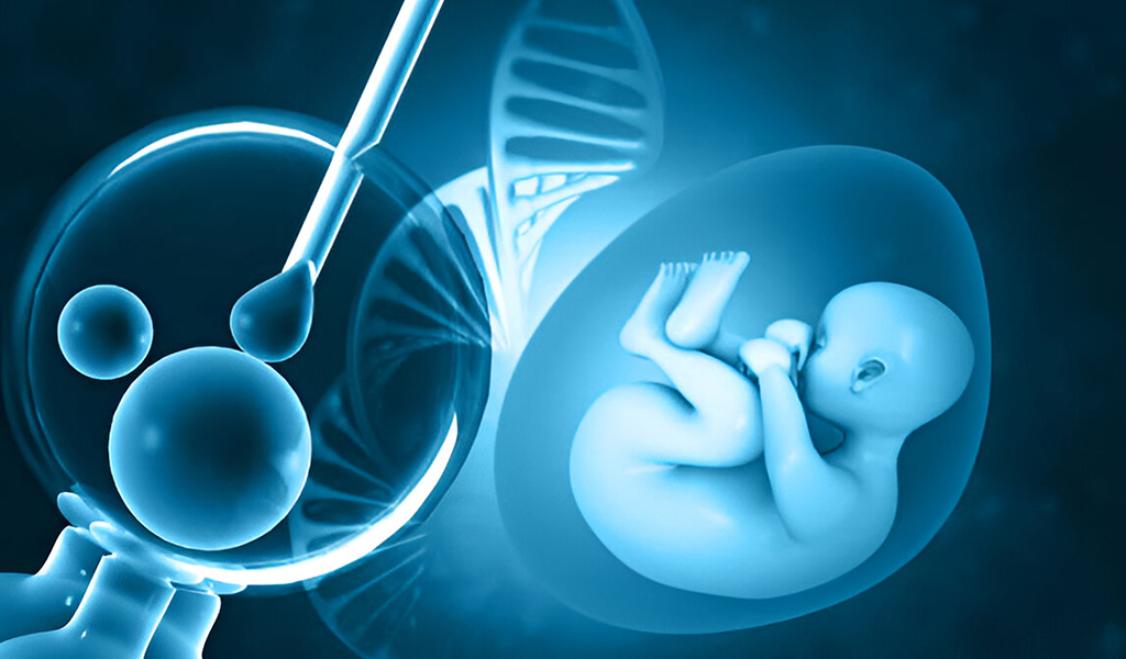 What is IVF?