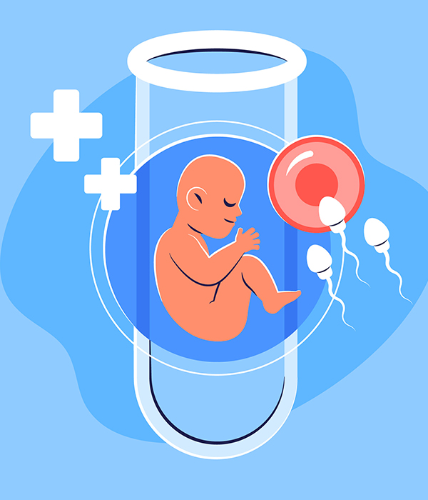 What factors can influence the success rate of IVF?