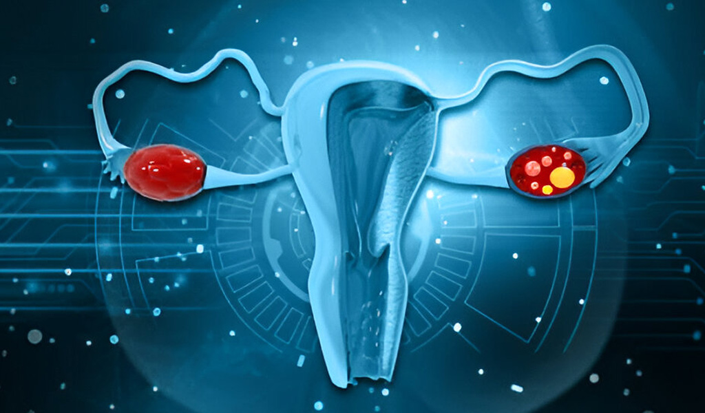 What is Ovarian Induction?
