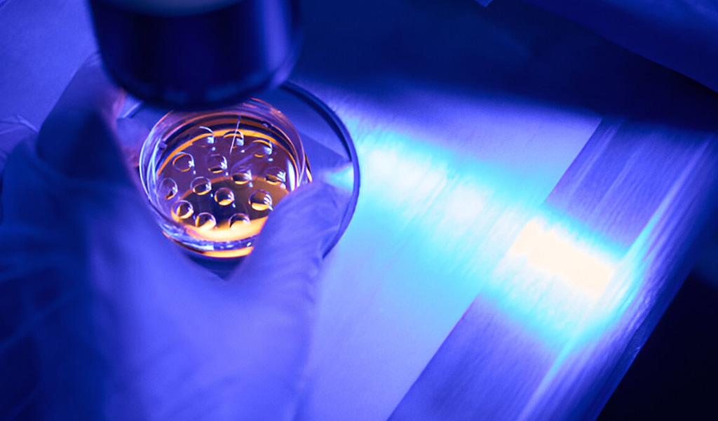 What is Embryo Biopsy
