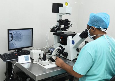 IVF Laboratory Procedures