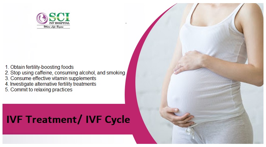 IVF Treatment IVF Cycle food tips