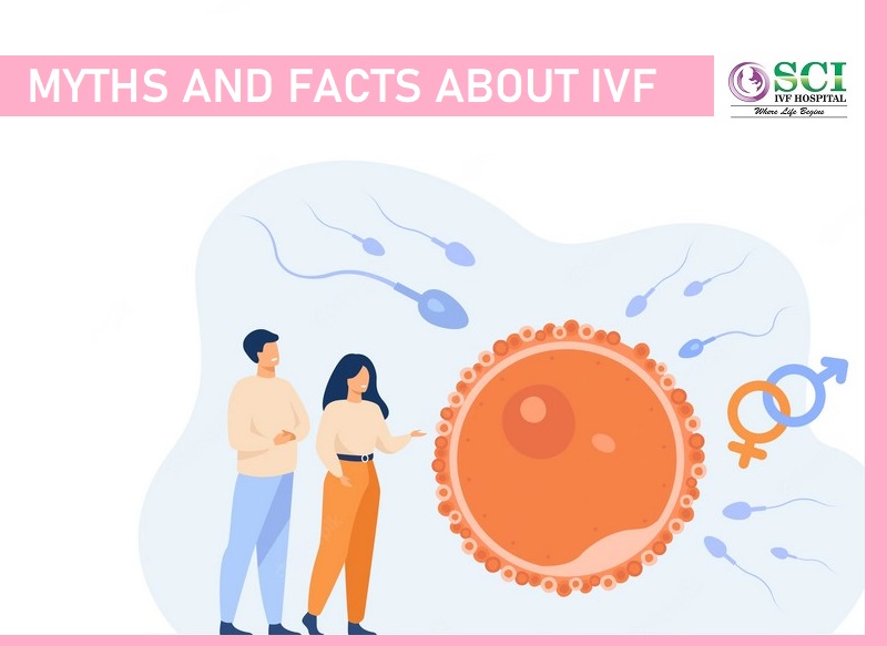 Myths and Facts About IVF
