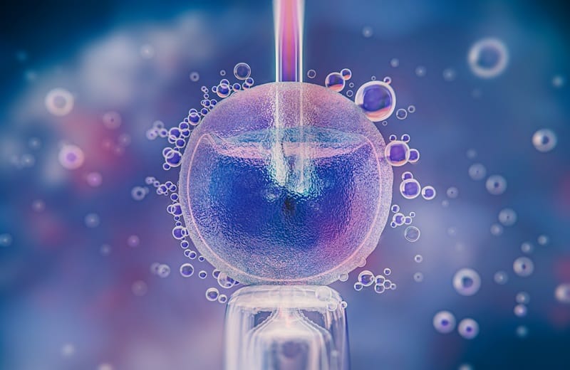 Embryos for IVF